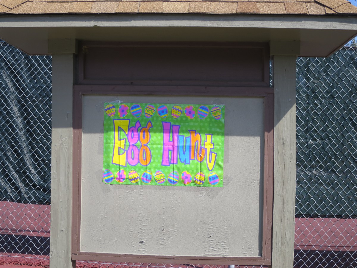 15EggHunt00001.jpg