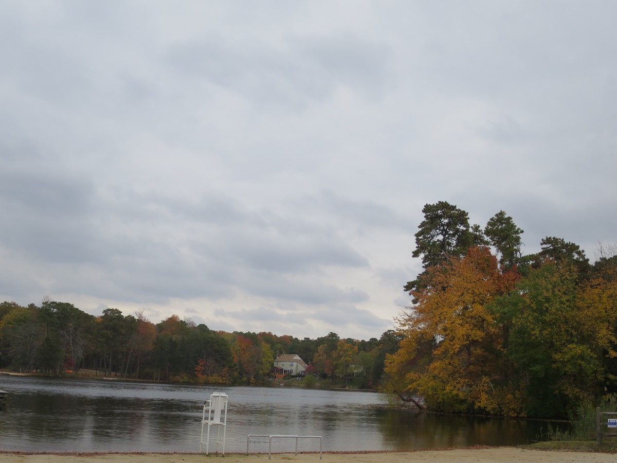 FallFestival2015003.jpg