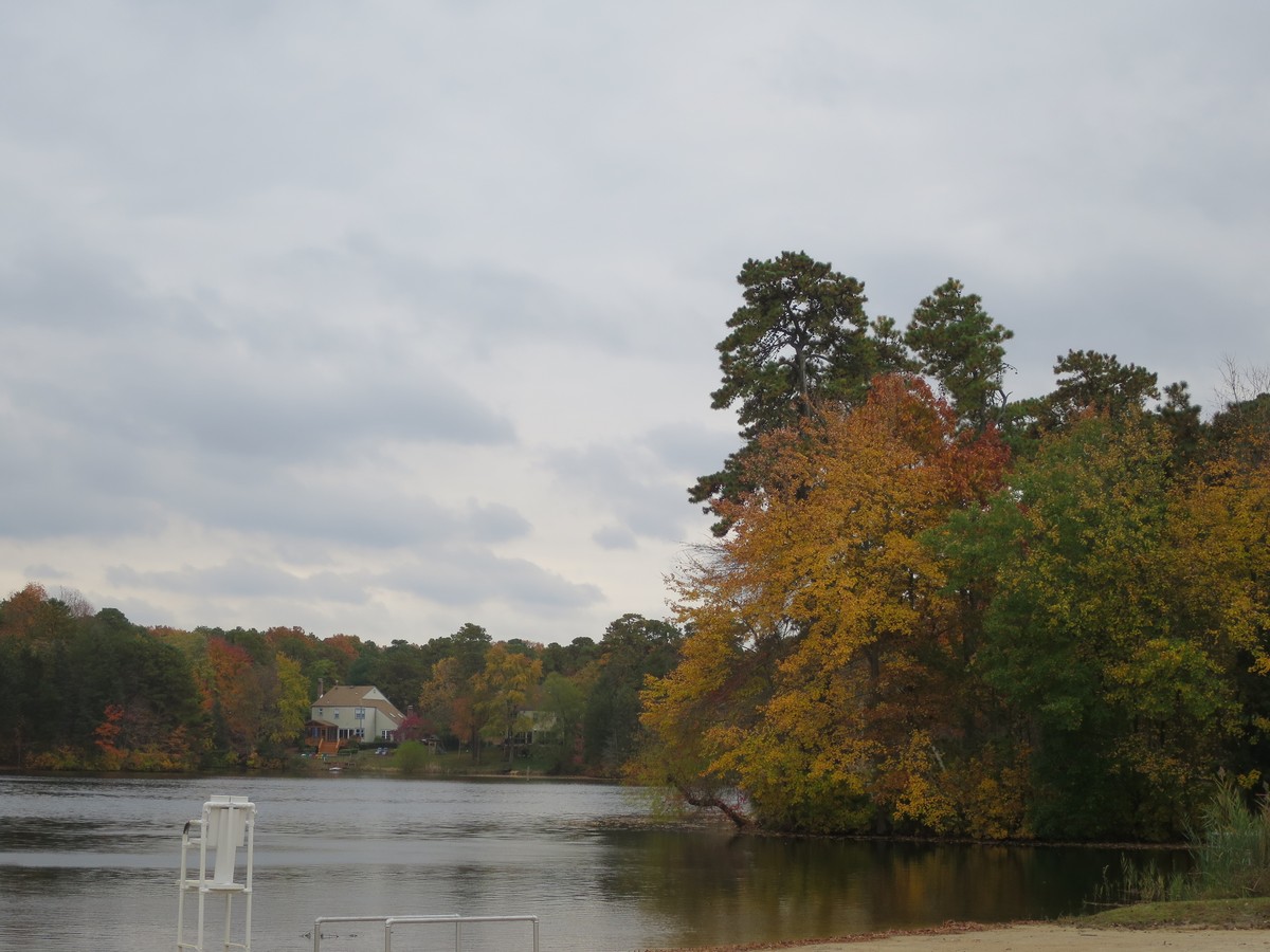 FallFestival2015004.jpg