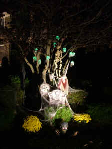 DSCF4091.JPG (846528 bytes)