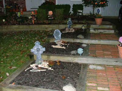 DSCF5051.JPG (475972 bytes)