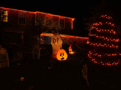 DSCF5060.JPG (453110 bytes)