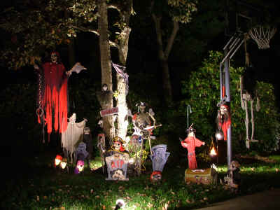 DSCF5074.JPG (488851 bytes)