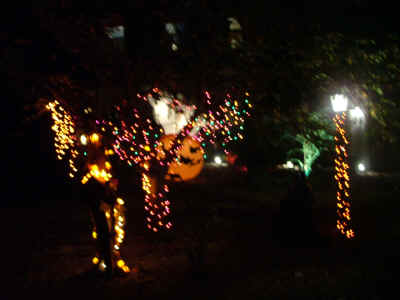 DSCF5094.JPG (450843 bytes)