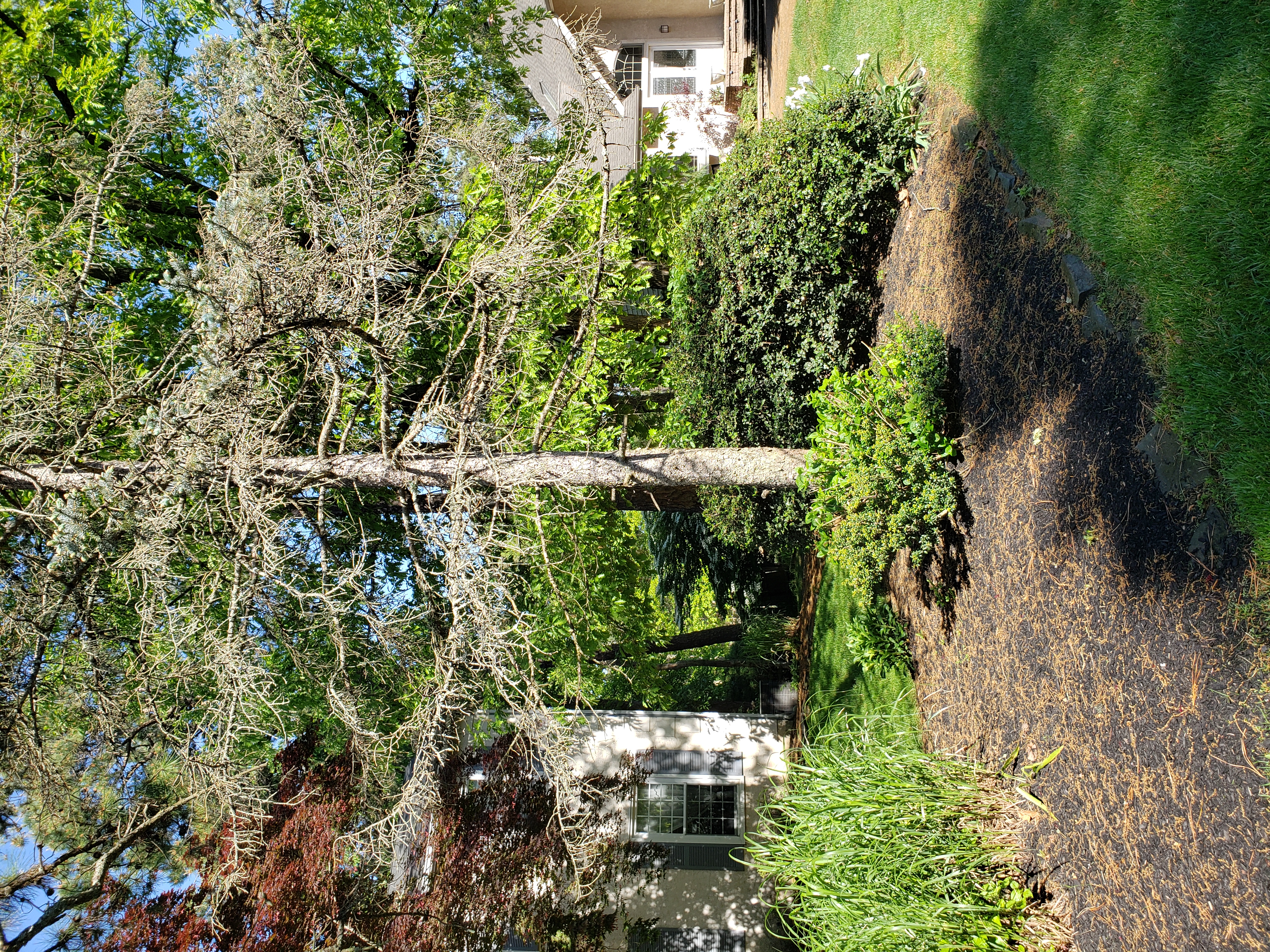 Sla Architectural Committee Approvals Sla Architectural Committee Approvals